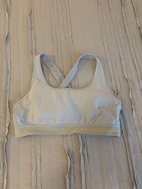 Under Armour Women's Light Blue Crossback Sports Bra | Size L